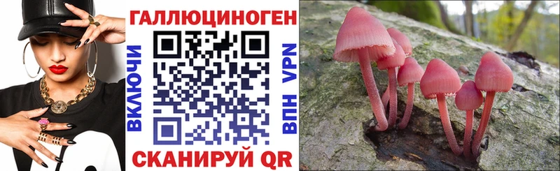 где продают Новое Девяткино Галлюциногенные грибы прущие грибы